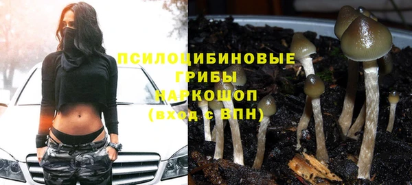 гашиш Бородино