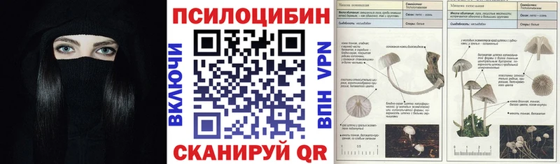 Купить где  Белово  Псилоцибиновые грибы Psilocybe 