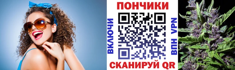 Шишки марихуана семена Белово